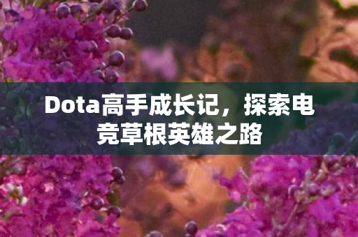 探索电竞草根英雄之路图片