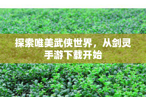 从剑灵手游下载开始图片
