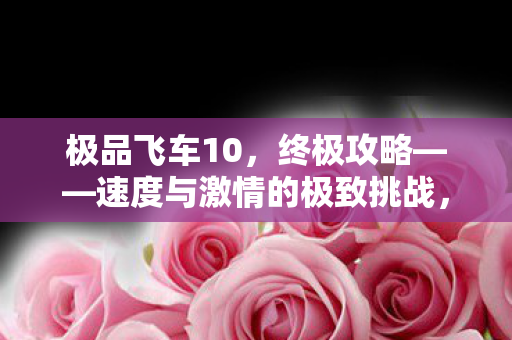 速度与激情的极致挑战图片