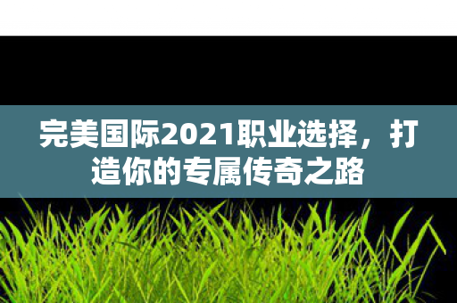 完美国际2021职业选择图片