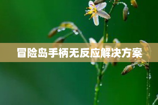 冒险岛手柄无反应解决方案图片