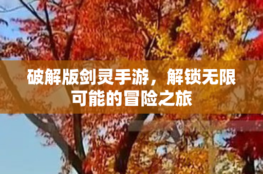 解锁无限可能的冒险之旅图片