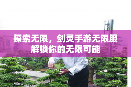 剑灵手游无限服解锁你的无限可能图片