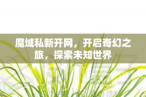 魔域私新开网图片