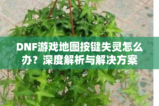 DNF游戏地图按键失灵怎么办图片