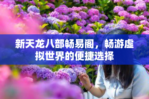 畅游虚拟世界的便捷选择图片