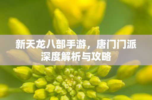 唐门门派深度解析与攻略图片