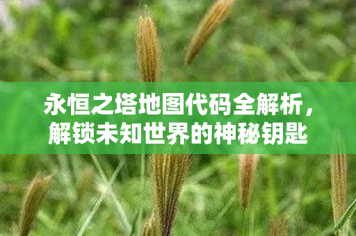 永恒之塔地图代码全解析图片