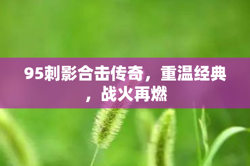 95刺影合击传奇图片