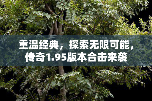 95版本合击来袭图片