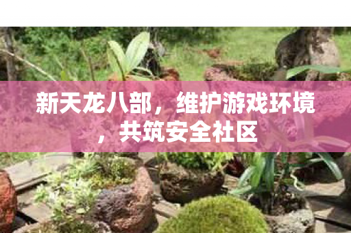 维护游戏环境图片