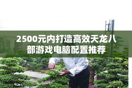 2500元内打造高效天龙八部游戏电脑配置推荐图片