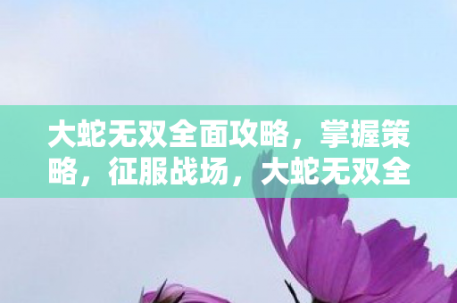 大蛇无双全面攻略,掌握策略,征服战场,大蛇无双全面攻略,掌握策略,征服战场 大蛇无双全面攻略,掌握策略,征服战场,大蛇无双全面攻略,掌握策略,征服战场