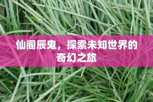 探索未知世界的奇幻之旅图片