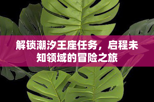 启程未知领域的冒险之旅图片