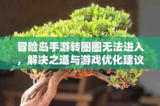 冒险岛手游转圈圈无法进入图片