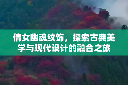 探索古典美学与现代设计的融合之旅图片