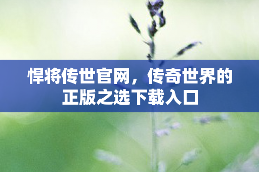 传奇世界的正版之选下载入口图片