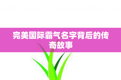 完美国际霸气名字背后的传奇故事图片
