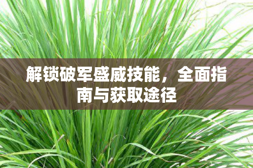 全面指南与获取途径图片