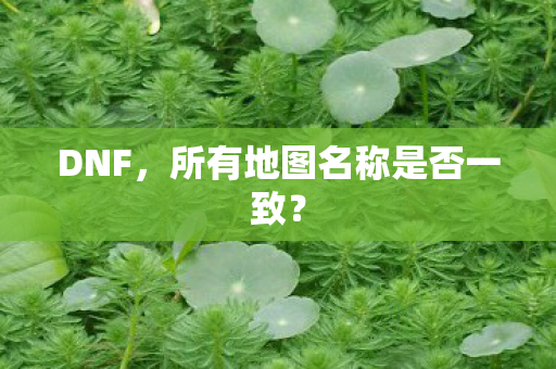 所有地图名称是否一致图片