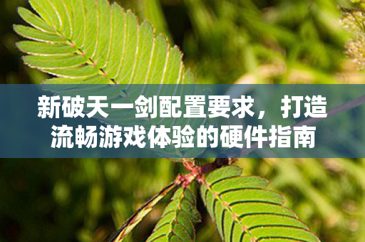 打造流畅游戏体验的硬件指南图片