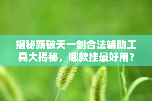 揭秘新破天一剑合法辅助工具大揭秘图片