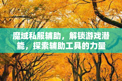 探索辅助工具的力量图片