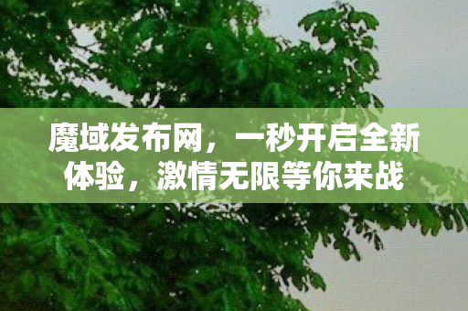 一秒开启全新体验图片