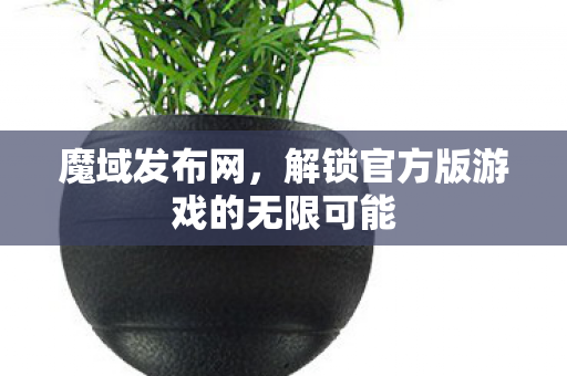 解锁官方版游戏的无限可能图片