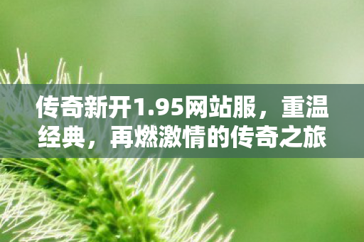 再燃激情的传奇之旅图片