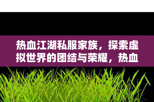 探索虚拟世界的团结与荣耀图片
