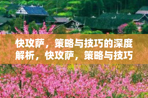 策略与技巧的深度解析图片