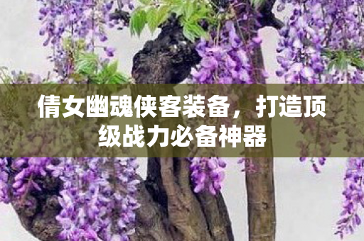 打造顶级战力必备神器图片