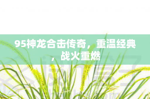 95神龙合击传奇图片