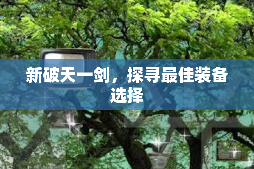 探寻最佳装备选择图片