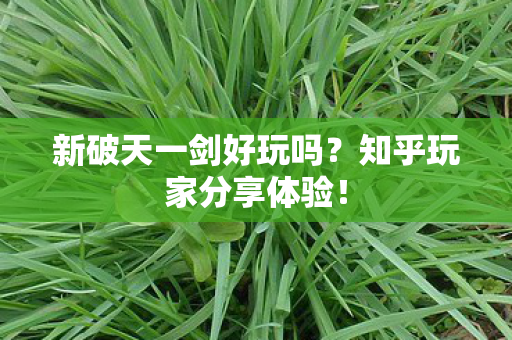 新破天一剑好玩吗?知乎玩家分享体验! 新破天一剑好玩吗?知乎玩家分享体验!