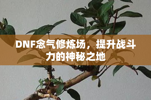 提升战斗力的神秘之地图片