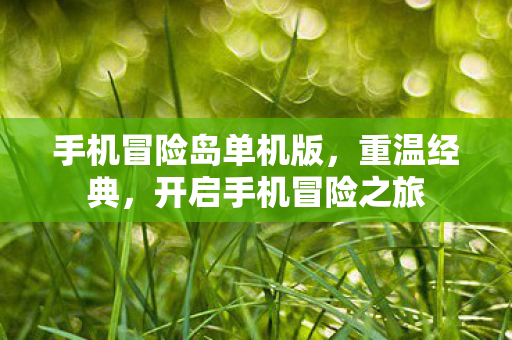 手机冒险岛单机版图片