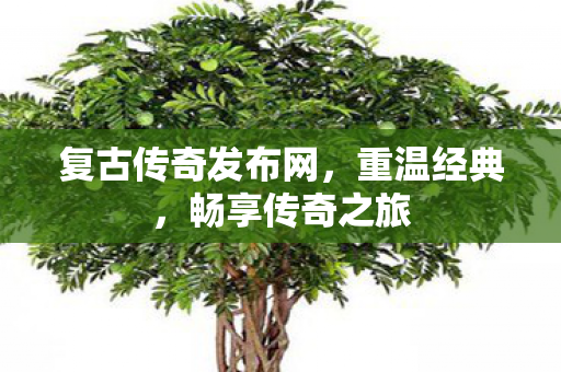 复古传奇发布网图片