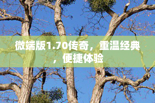 微端版1图片