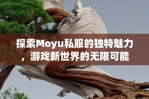 探索Moyu私服的独特魅力图片
