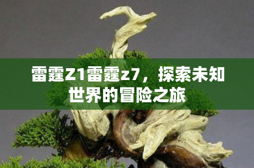 探索未知世界的冒险之旅图片