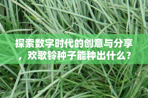 探索数字时代的创意与分享图片