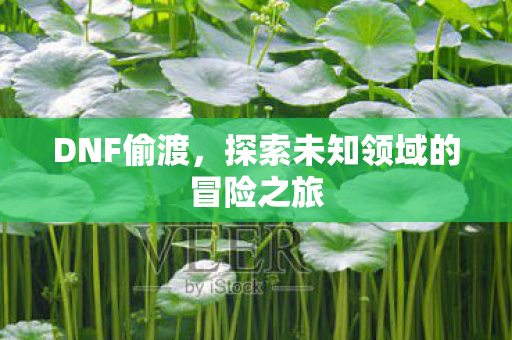 探索未知领域的冒险之旅图片