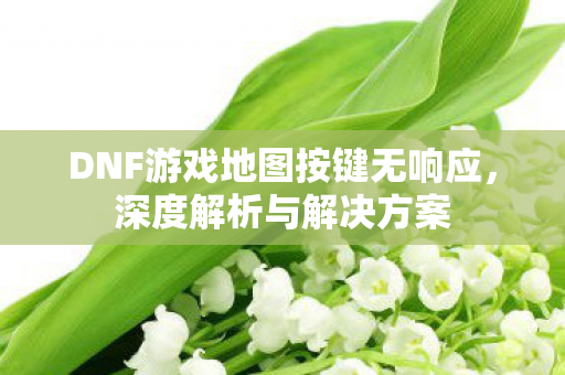 DNF游戏地图按键无响应图片