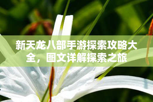 新天龙八部手游探索攻略大全，图文详解探索之旅