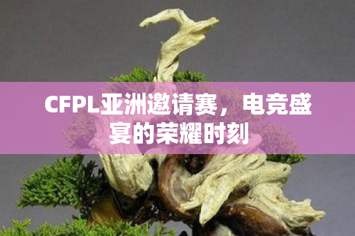 CFPL亚洲邀请赛图片