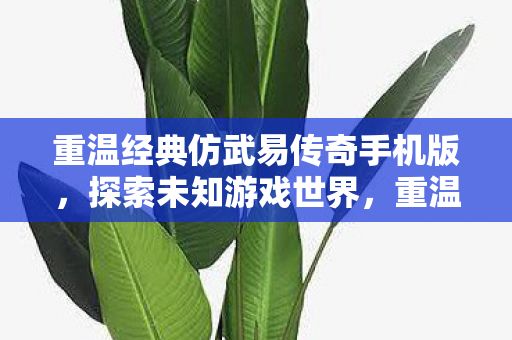 重温经典仿武易传奇手机版图片