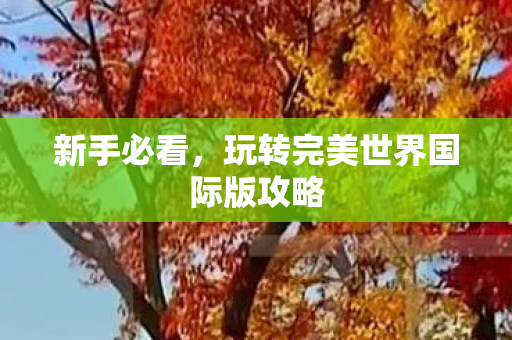 玩转完美世界国际版攻略图片